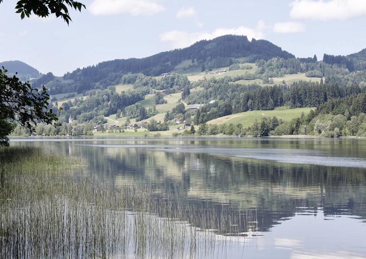 Landgasthof Sonne Ralf Heimerdinger